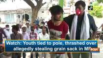 Watch: Youth tied to pole, thrashed over allegedly stealing grain sack in MP
