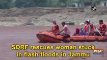 SDRF rescues woman stuck in flash floods in Jammu