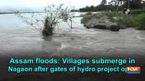 Assam floods: Villages submerge in Nagaon after gates of hydro project open