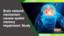 Brain network mechanism causes spatial memory impairment: Study
