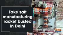 Fake salt manufacturing racket busted in Delhi