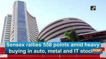 Sensex rallies 558 points amid heavy buying in auto, metal and IT stocks