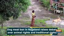 Dog meat ban in Nagaland raises debate over animal rights and traditional rights