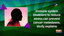 Immune system treatment to reduce stress can prevent cancer metastases, study explains