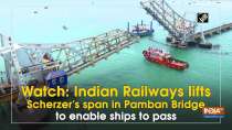 Watch: Indian Railways lifts Scherzer