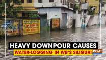 Heavy downpour causes water-logging in WB