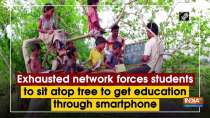 Exhausted network forces students to sit atop tree to get education through smartphone