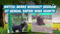 Watch: Bears workout session at Bengal Safari wins hearts