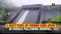6 shutters of Pamba dam open in Kerala following rainfall