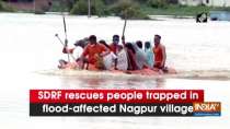 SDRF rescues people trapped in flood-affected Nagpur village
