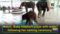 Watch: Baby elephant plays with water following her naming ceremony