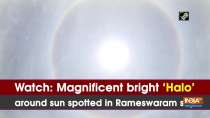 Watch: Magnificent bright 
