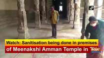 Watch: Sanitisation being done in premises of Meenakshi Amman Temple in TN