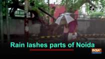 Rain lashes parts of Noida