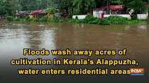 Floods wash away acres of cultivation in Kerala