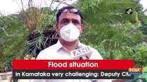 Flood situation in Karnataka very challenging: Karnataka Deputy CM