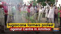 Sugarcane farmers protest against Centre in Amritsar