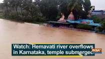 Watch: Hemavati river overflows in Karnataka, temple submerged