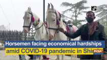 Horsemen facing economical hardships amid COVID-19 pandemic in Shimla