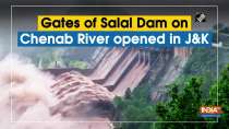 Watch: Gates of Salal Dam on Chenab River opened in J-K