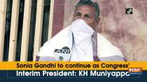 Sonia Gandhi to continue as Congress