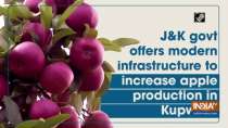 J&K govt offers modern infrastructure to increase apple production in Kupwara