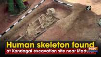 Human skeleton found at Kondagai excavation site near Madurai