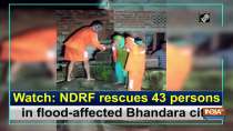 Watch: NDRF rescues 43 persons in flood-affected Bhandara city