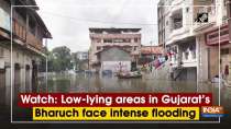 Watch: Low-lying areas in Gujarat