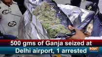 500 gms of Ganja seized at Delhi airport, 1 arrested