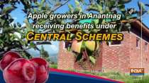 Apple growers in Anantnag receiving benefits under Central schemes