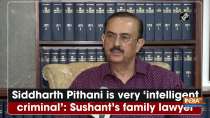 Siddharth Pithani is very 