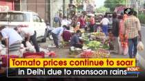 Tomato prices continue to soar in Delhi due to monsoon rains