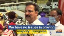 We have no issues in proving majority: Congress
