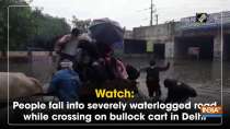 Watch: People fall into severely waterlogged road while crossing on bullock cart in Delhi
