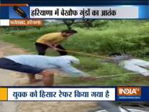 Haryana: Criminals mercilessly beat up man in Fatehabad