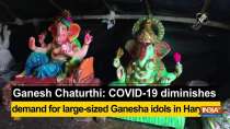 Ganesh Chaturthi: COVID-19 diminishes demand for large-sized Ganesha idols in Haryana