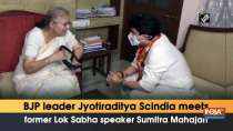 BJP leader Jyotiraditya Scindia meets former Lok Sabha speaker Sumitra Mahajan