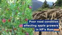 Poor road condition affecting apple growers in HP