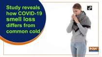 Study reveals how COVID-19 smell loss differs from common cold