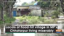 Locals of flood-hit village in MP