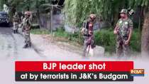 BJP leader shot at by terrorists in JK