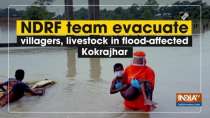 NDRF team evacuate villagers, livestock in flood-affected Kokrajhar