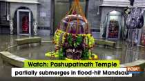 Watch: Pashupatinath Temple partially submerges in flood-hit Mandsaur