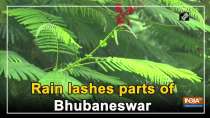 Rain lashes parts of Bhubaneswar