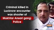 Criminal killed in Lucknow encounter was shooter of Mukhtar Ansari gang: Police