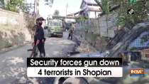 Security forces gun down 4 terrorists in Shopian