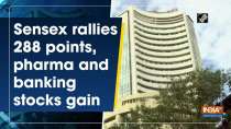 Sensex rallies 288 points, pharma and banking stocks gain