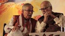 Babri Masjid case: LK Advani, Murli Manohar Joshi welcome court