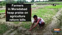 Farmers in Moradabad heap praise on agriculture reform bills